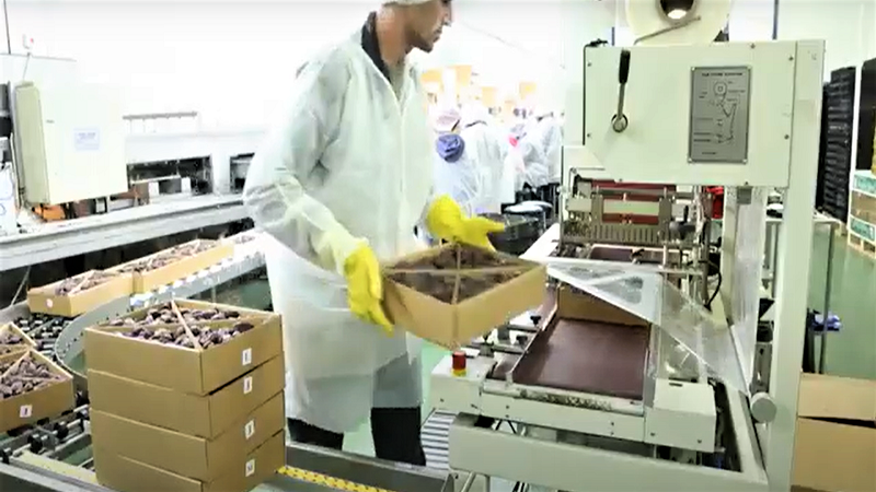 이스라엘 Dried Date - IL_Date_packaging3.png