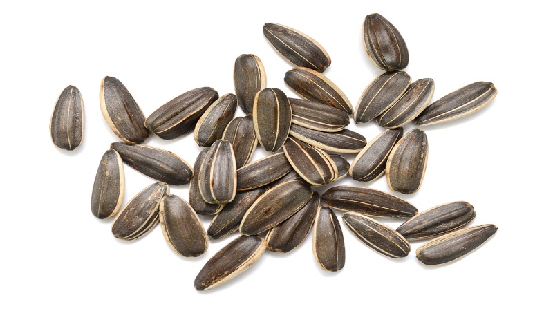 China Sunflower Seed - China_sunflower_seeds_2.jpg