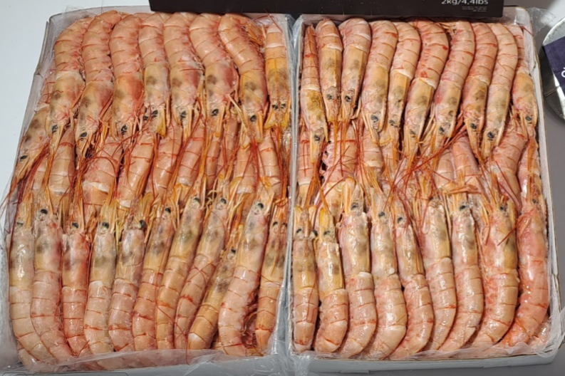 아르헨티나 Frozen Argentine Red Shrimp - image_43.png