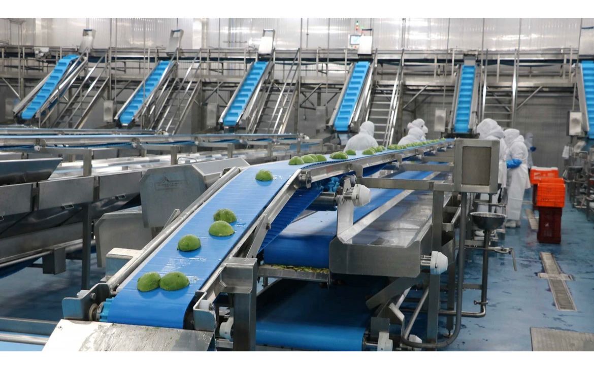 멕시코 Frozen Avocado Pulp - WhatsApp_Image_2023-05-04_at_12.14.44_AM.jpeg