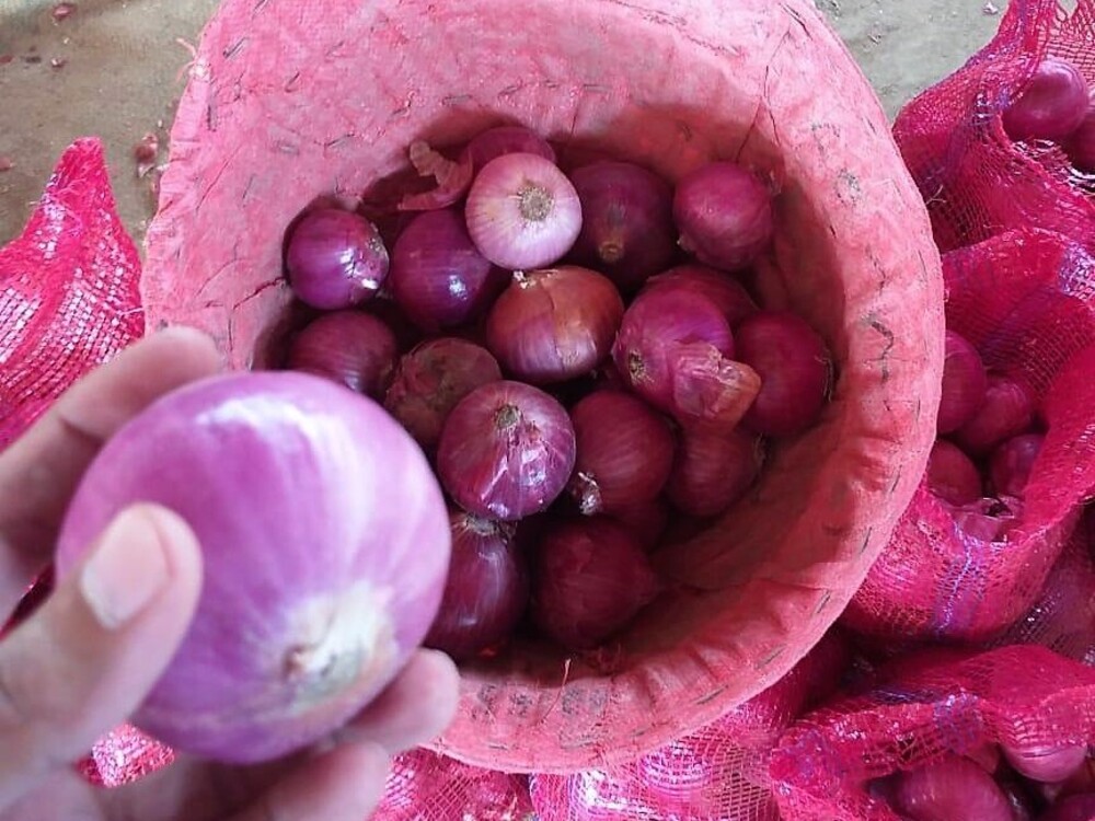Pakistan Fresh Onion - WhatsApp_Image_2021-07-09_at_4.5_3.jpg