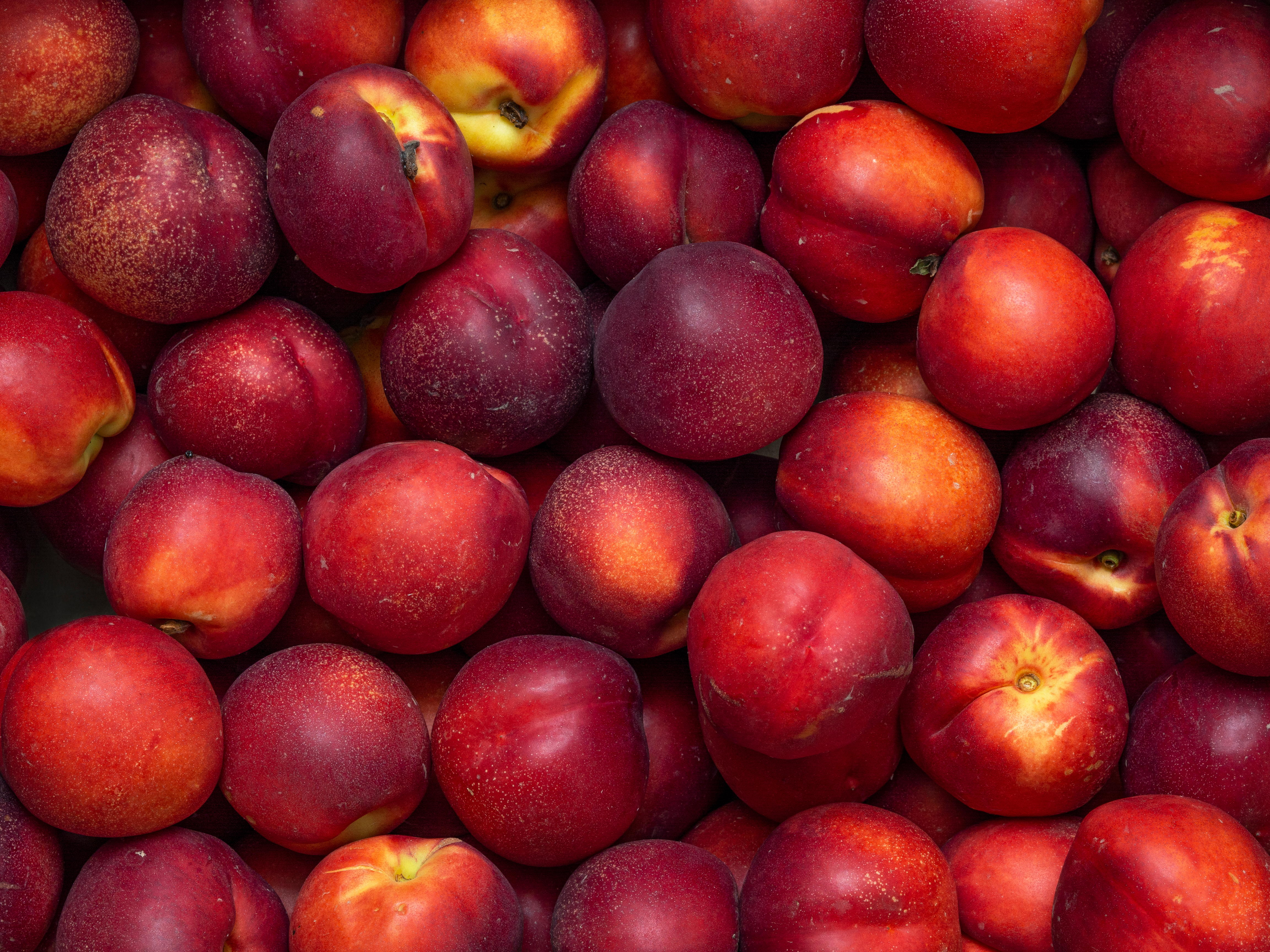 호주 Fresh Nectarine - shutterstock_2008810934.jpg