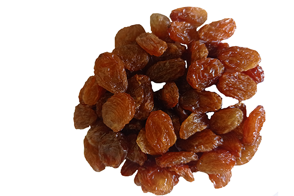 우즈베키스탄 Raisin (Dried Grape) - Brown_Raisins_Malayar_600x400.png