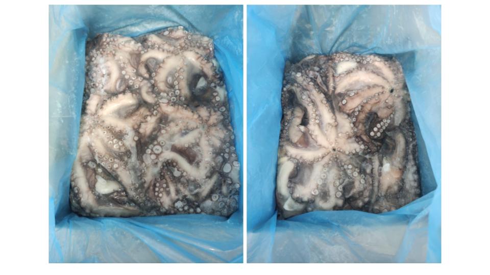 Portugal Frozen Octopus - %EC%A0%9C%EB%AA%A9_%EC%97%86%EB%8A%94_%ED%94%84%EB%A0%88%EC%A0%A0%ED%85%8C%EC%9D%B4%EC%85%98_3.jpg