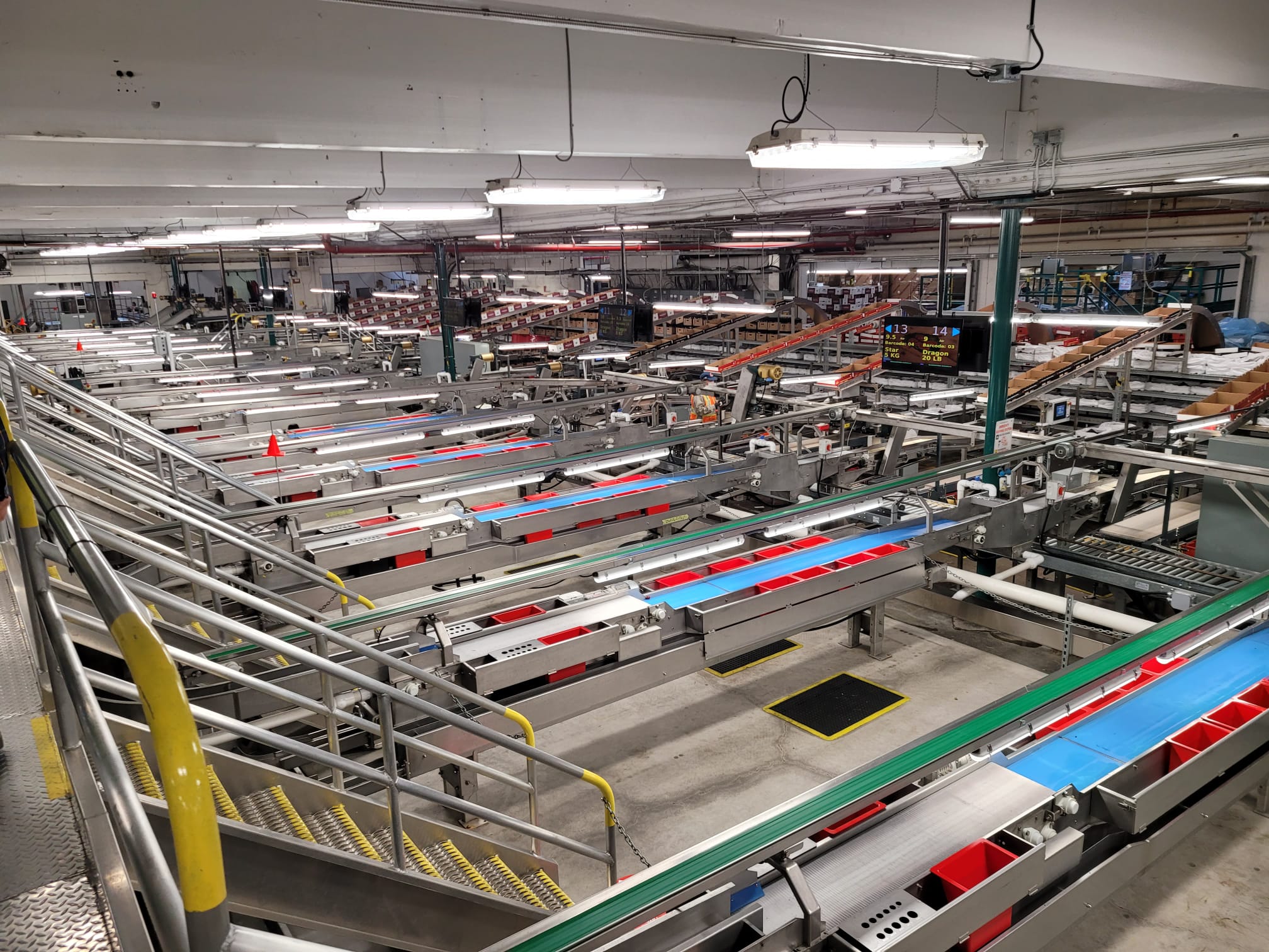 캐나다 Fresh Sweet Cherry - WhatsApp_Image_2021-07-22_at_1.52.50_PM.jpeg