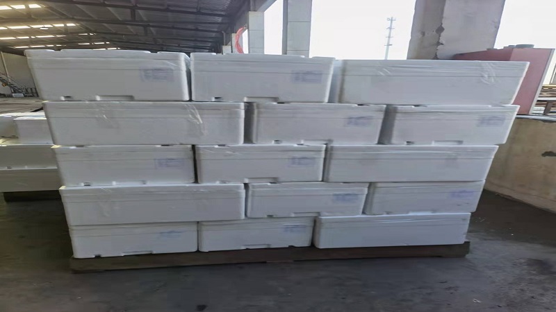 중국 Fresh Headed Broccoli - b16.jpg