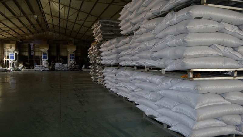 China Sunflower Seed - China_sunflower_seeds_9.jpg