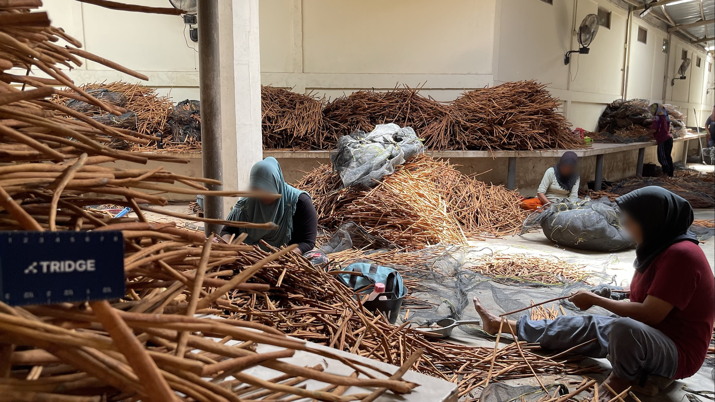 Indonesia Whole Common Cinnamon - 21F.jpg