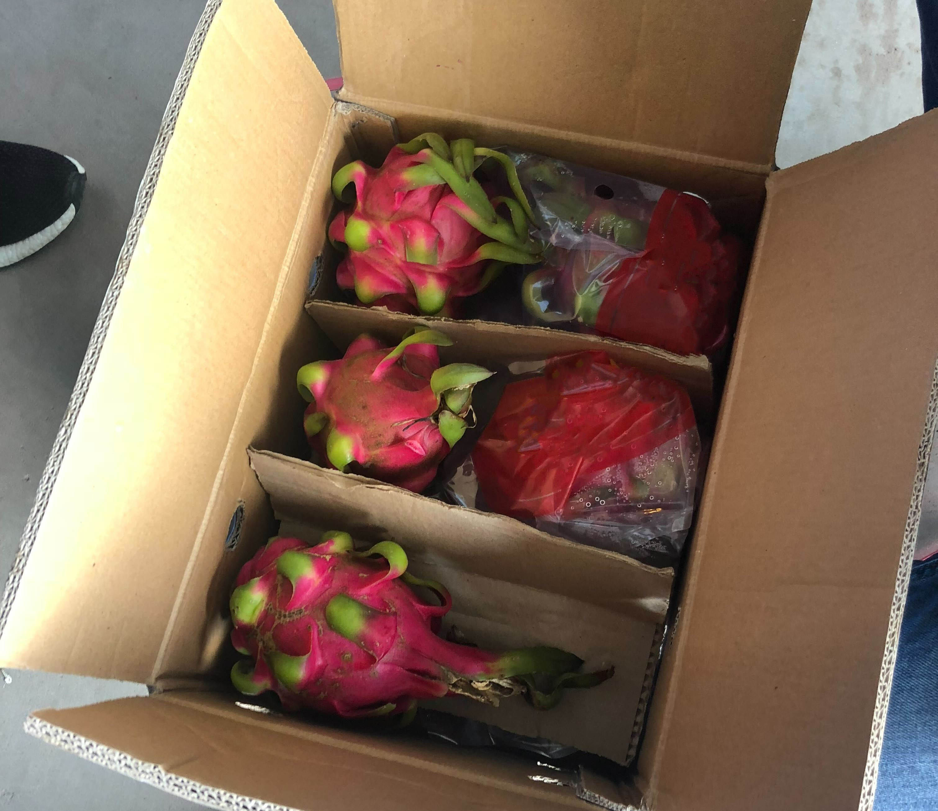 베트남 Fresh Dragon Fruit - 1F_1.jpg