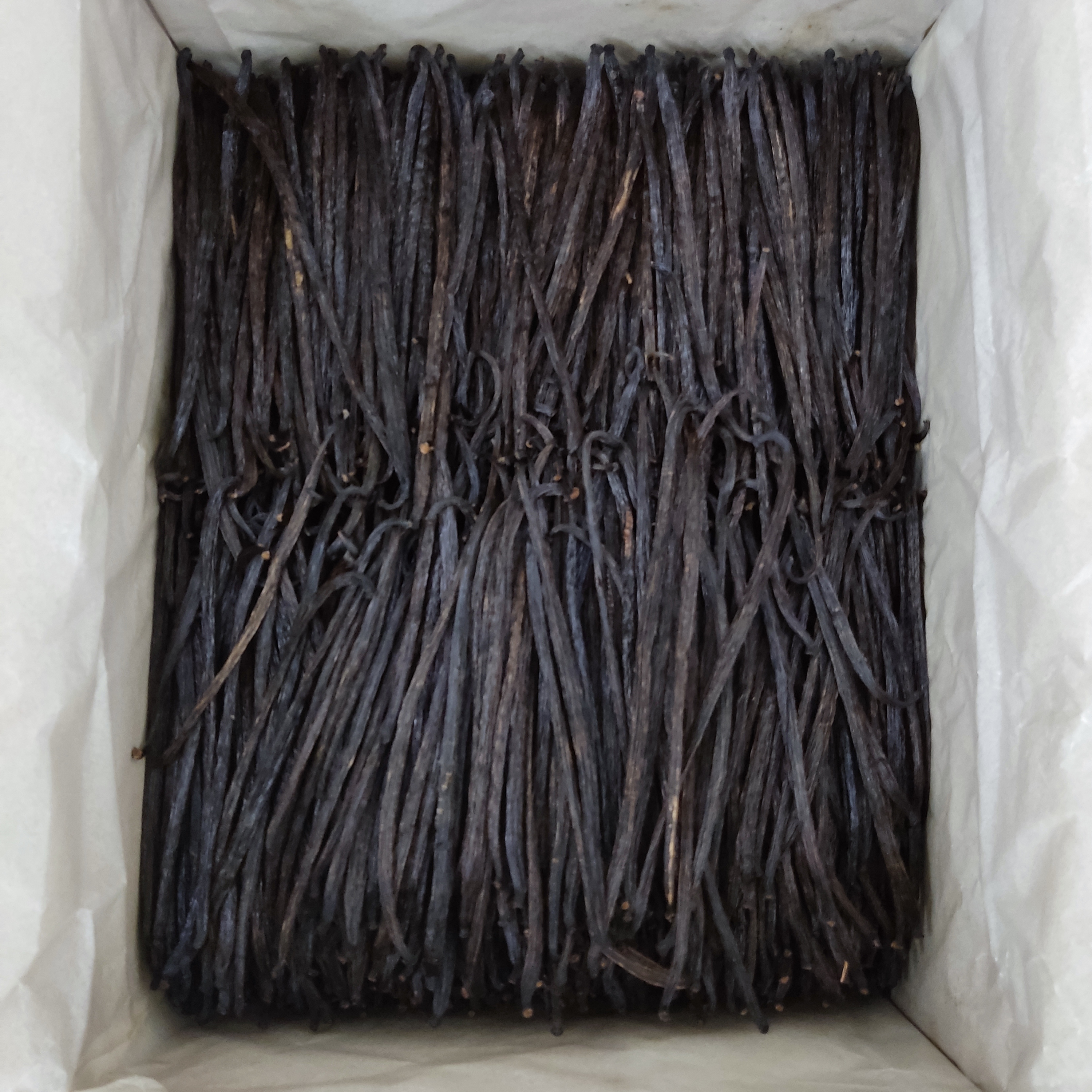 인도네시아 Vanilla - IMG_20211123_134908_-_Copy.jpg