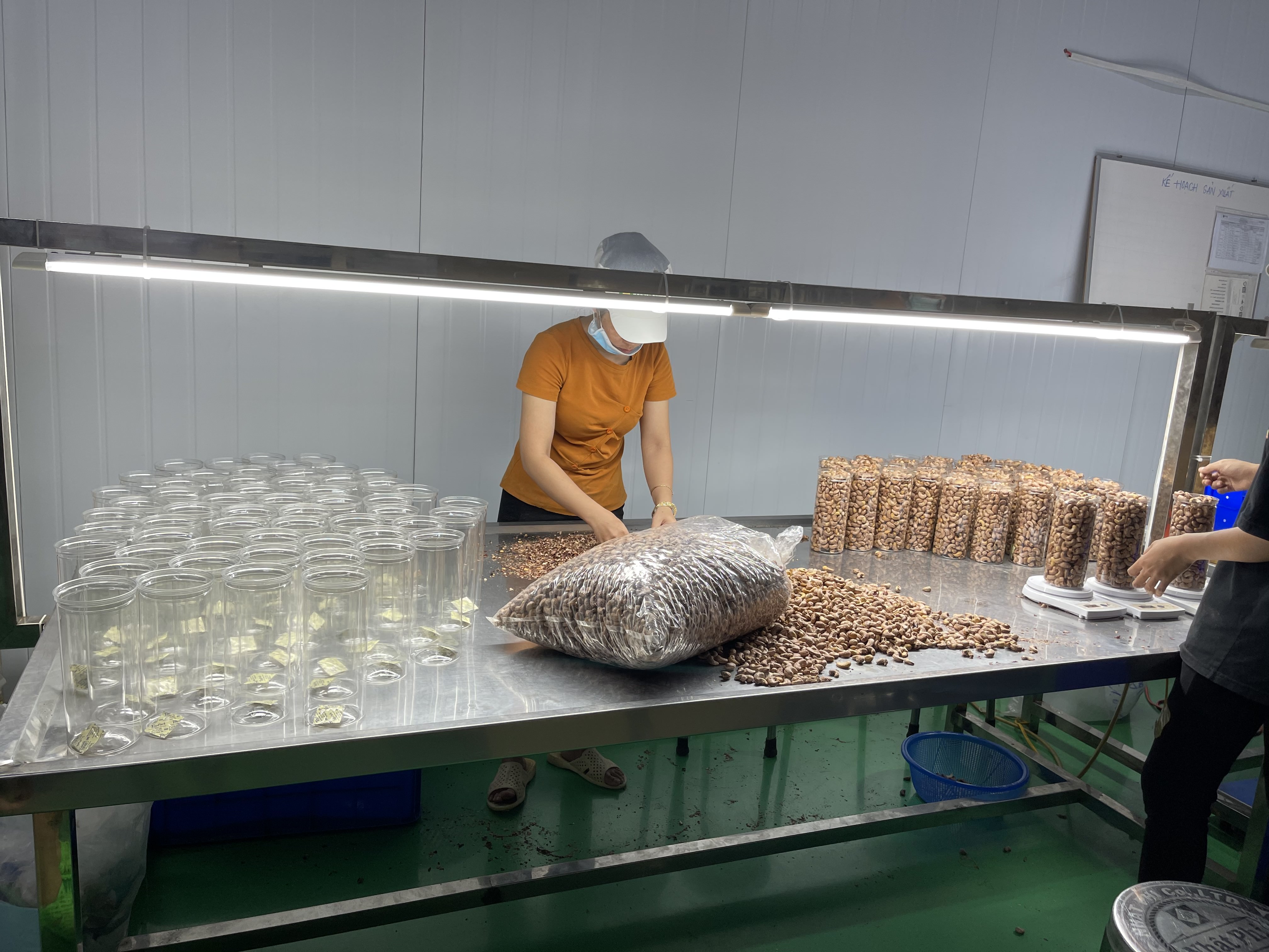 베트남 Cashew Nut Kernel - Vietnam-Cashew-Nut-Kernel-463627.jpg