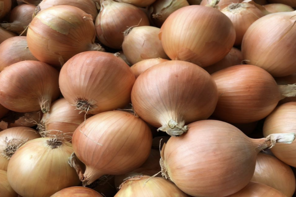 호주 Fresh Onion - Screenshot_20211122-114831.png