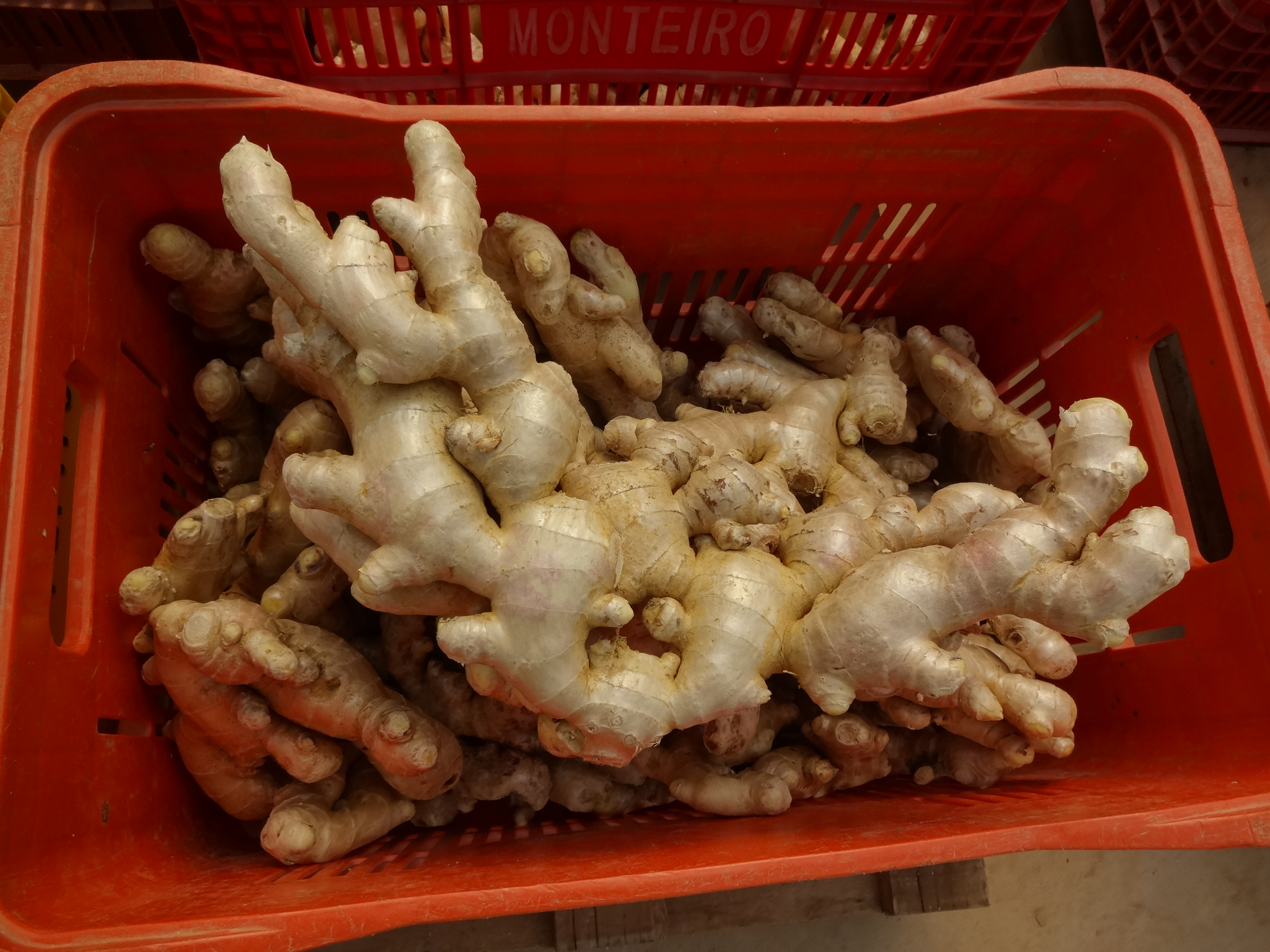 Brazil Whole Common Ginger - DSC02496.JPG