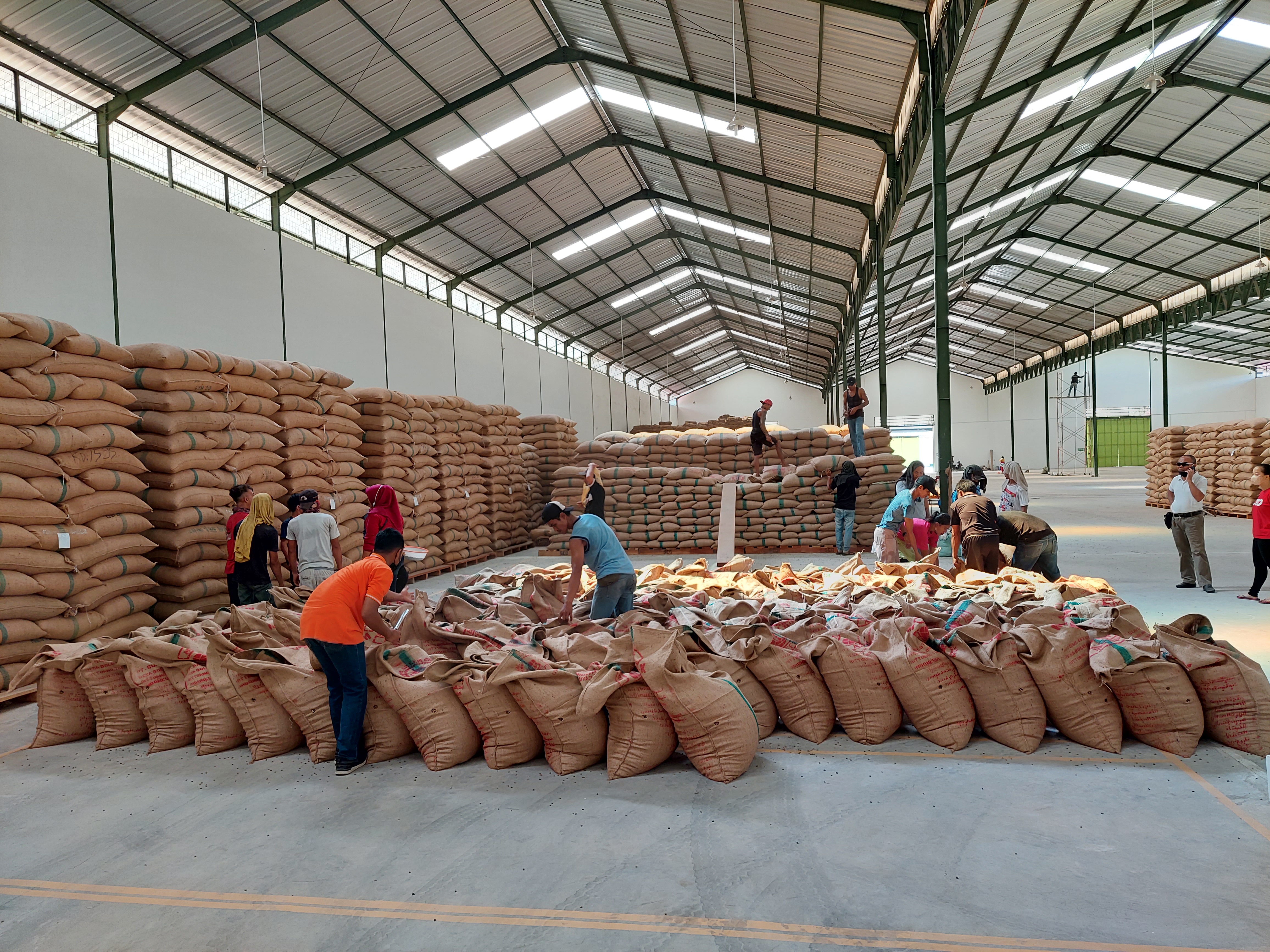 인도네시아 Raw Common Coffee Bean - 20211217_092512.jpg