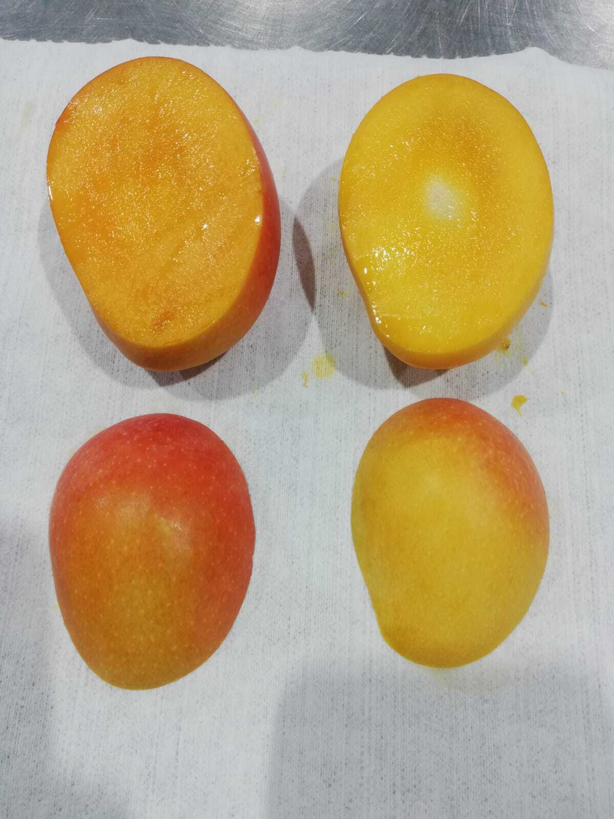 Colombia Fresh Mango - WhatsApp_Image_2022-04-20_at_9.16.56_AM.jpeg