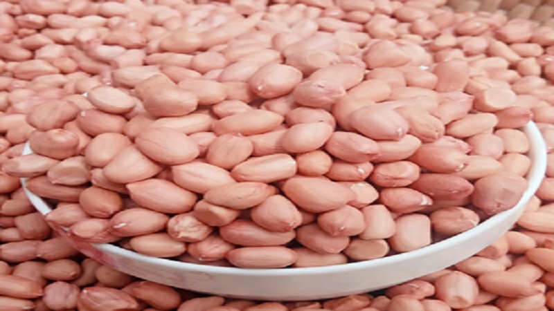 China Peanut Kernel - China-Peanut-Kernel-653882_2.jpg