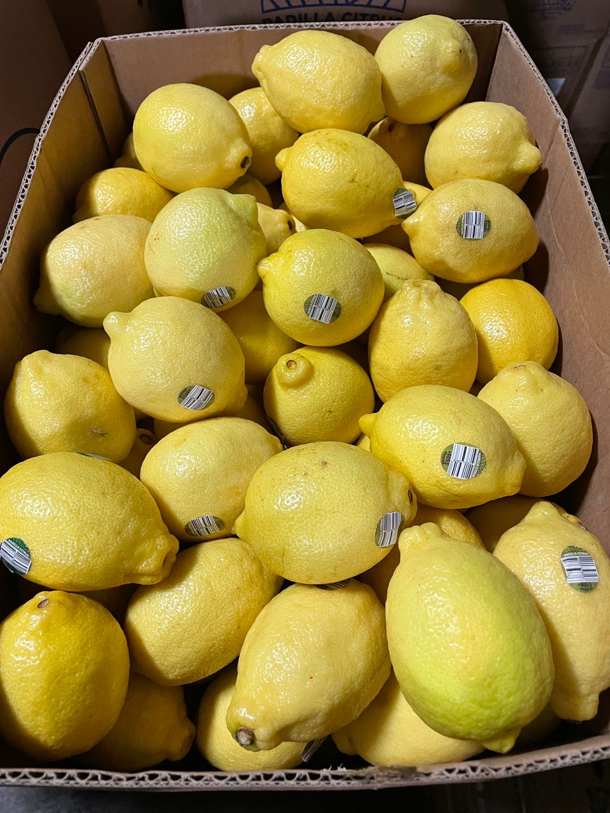 Argentina Fresh Lemon - WhatsApp_Image_2021-06-10_at_10.20.29_PM.jpeg