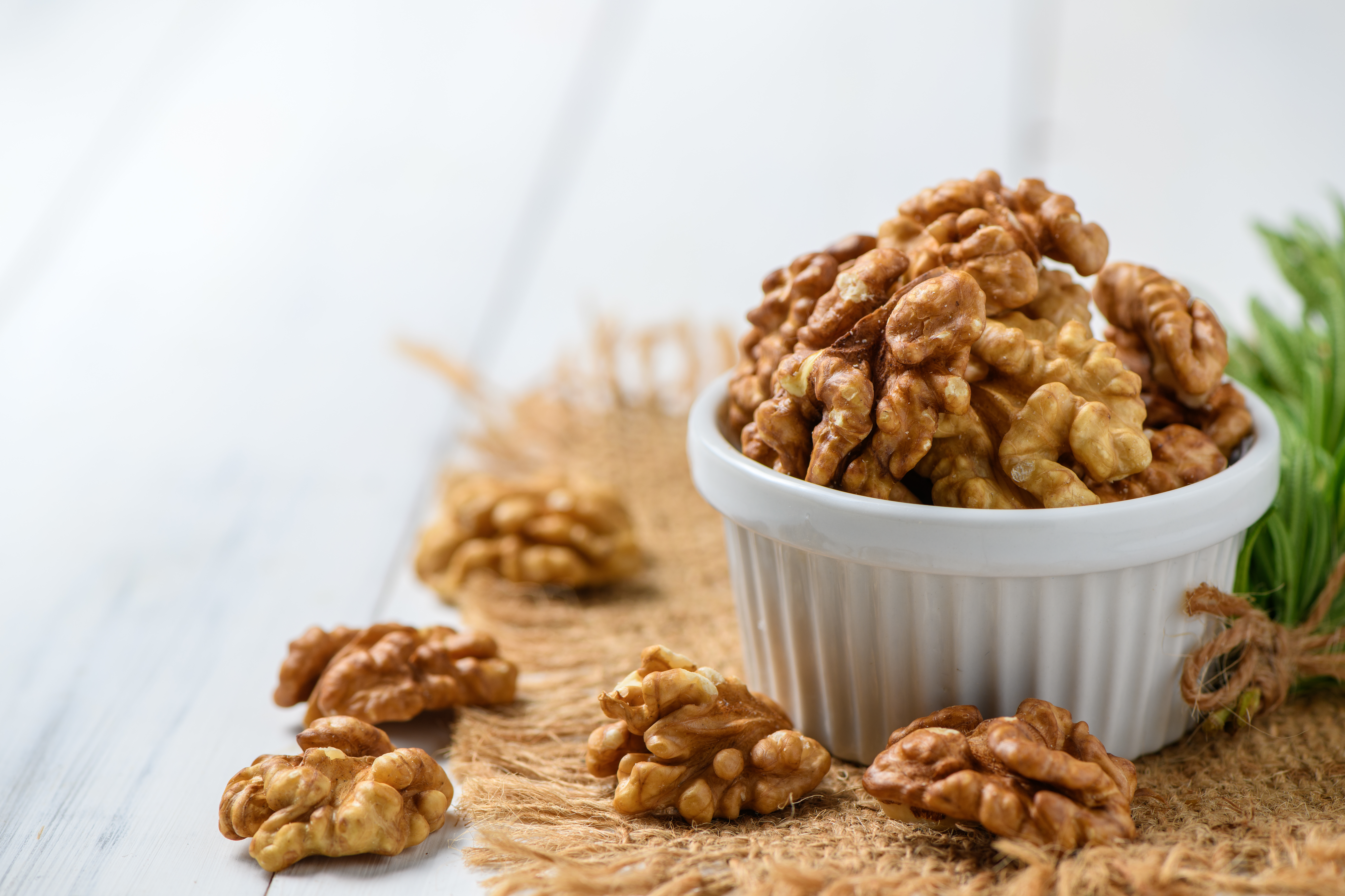 미국 Raw Walnut - shutterstock_1949289064.jpg