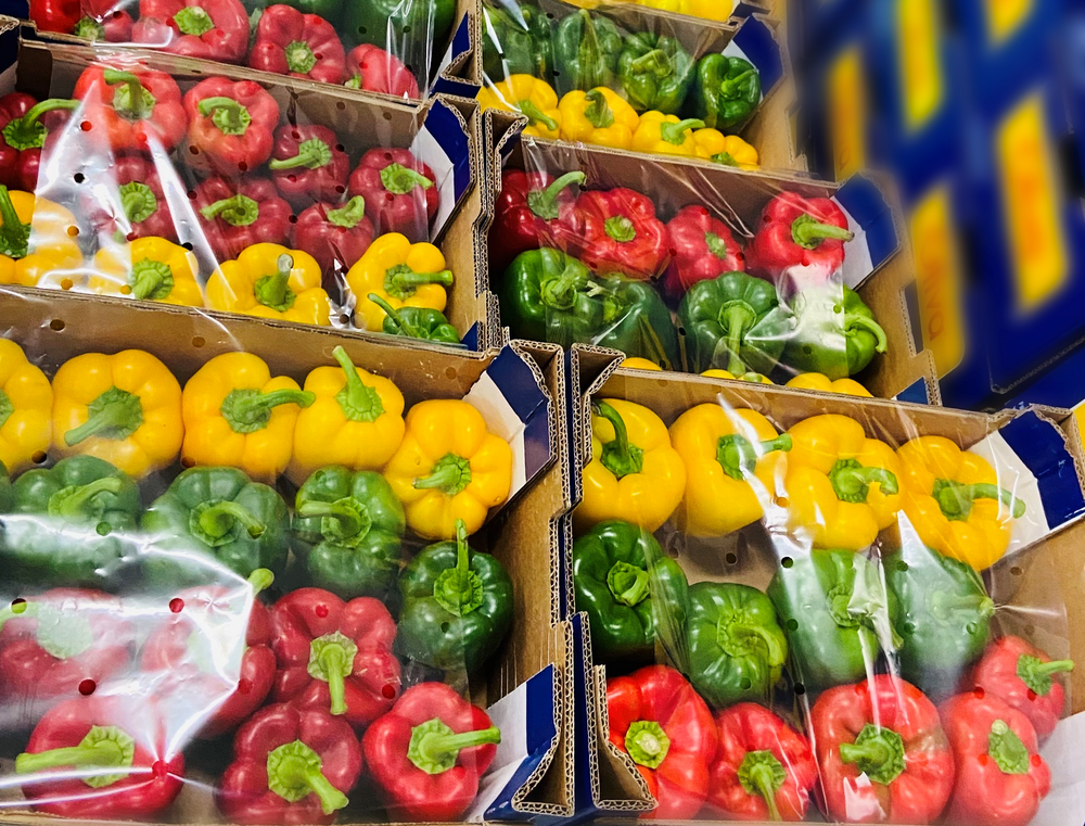 Spain Fresh Bell Pepper - 5F_2.png