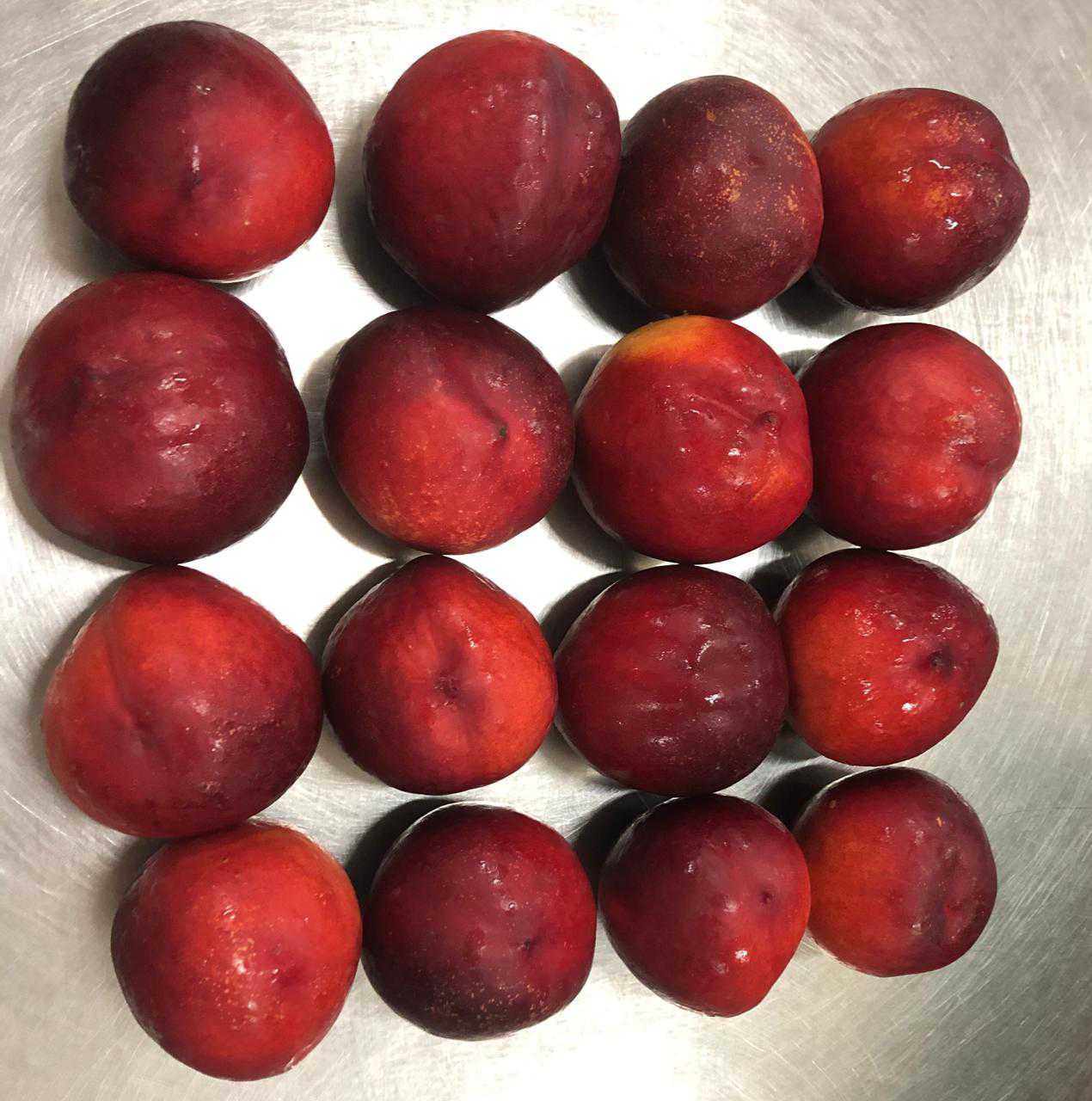 모로코 Fresh Nectarine - IMG-20210614-WA0004.jpg