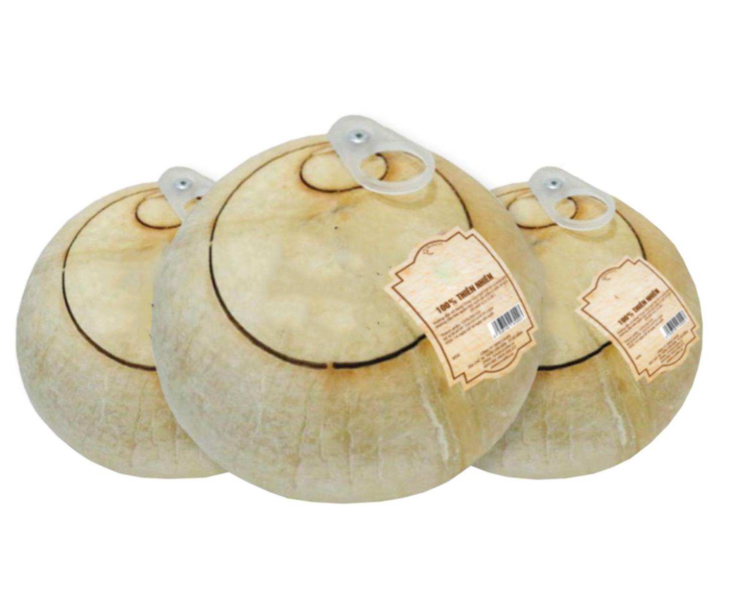 베트남 Fresh Young Coconut - %E1%BA%A2nh_ch%E1%BB%A5p_M%C3%A0n_h%C3%ACnh_2023-07-07_l%C3%BAc_10.41.24_SA.png