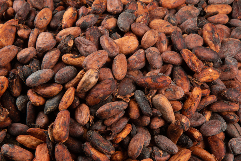 Nigeria Cocoa Bean - shutterstock_1898840512.jpg