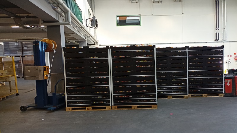 폴란드 Fresh Apple - Polishapple_packing2.jpg