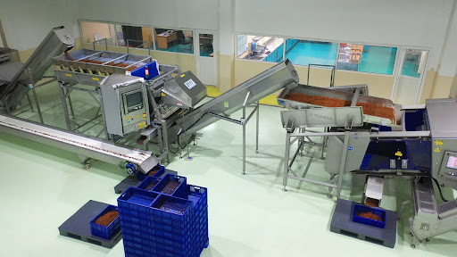 Turkiye Sultana - 6.jpg