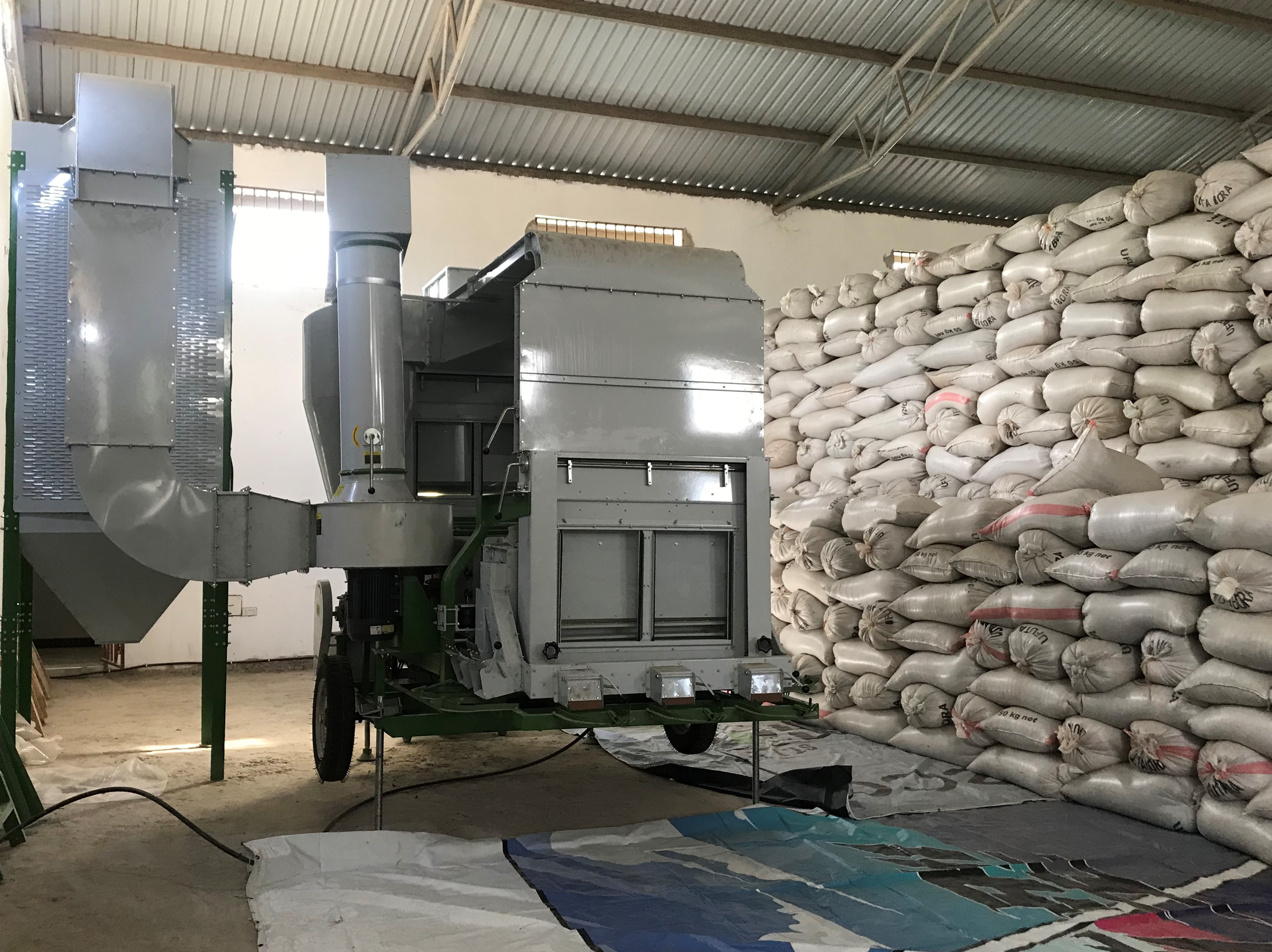 Tanzania Sesame Seed - IMG_9893.jpg