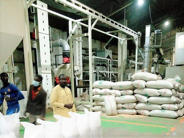 Sesame Seed Offers From Nigeria