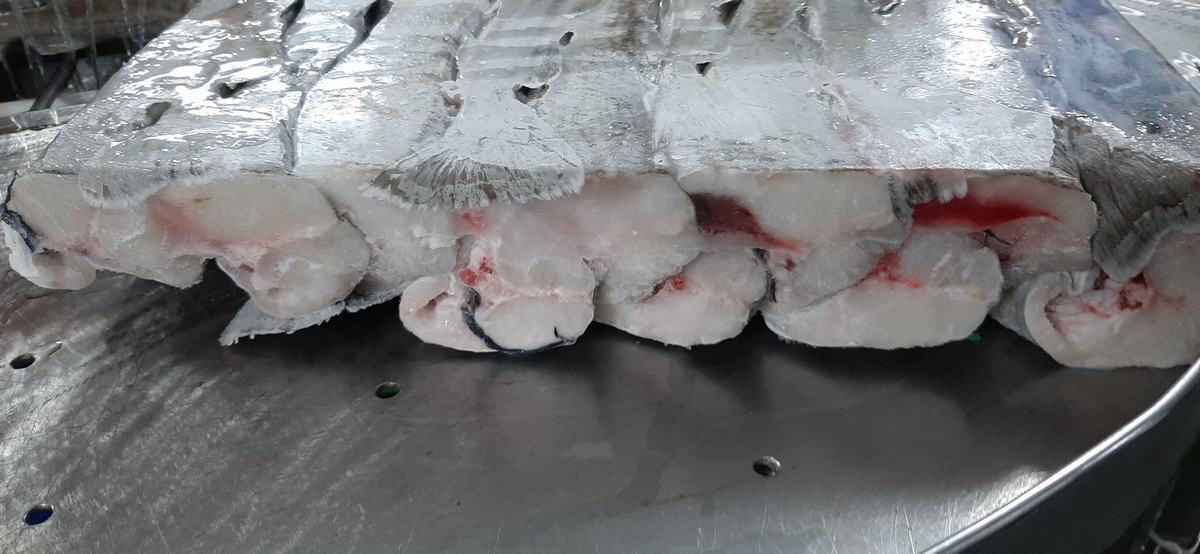 러시아 Frozen Whole Pacific Cod - cod_5.jpg