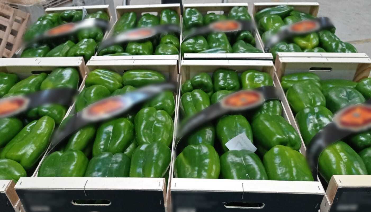 Spain Fresh Bell Pepper - 8F_1.jpg