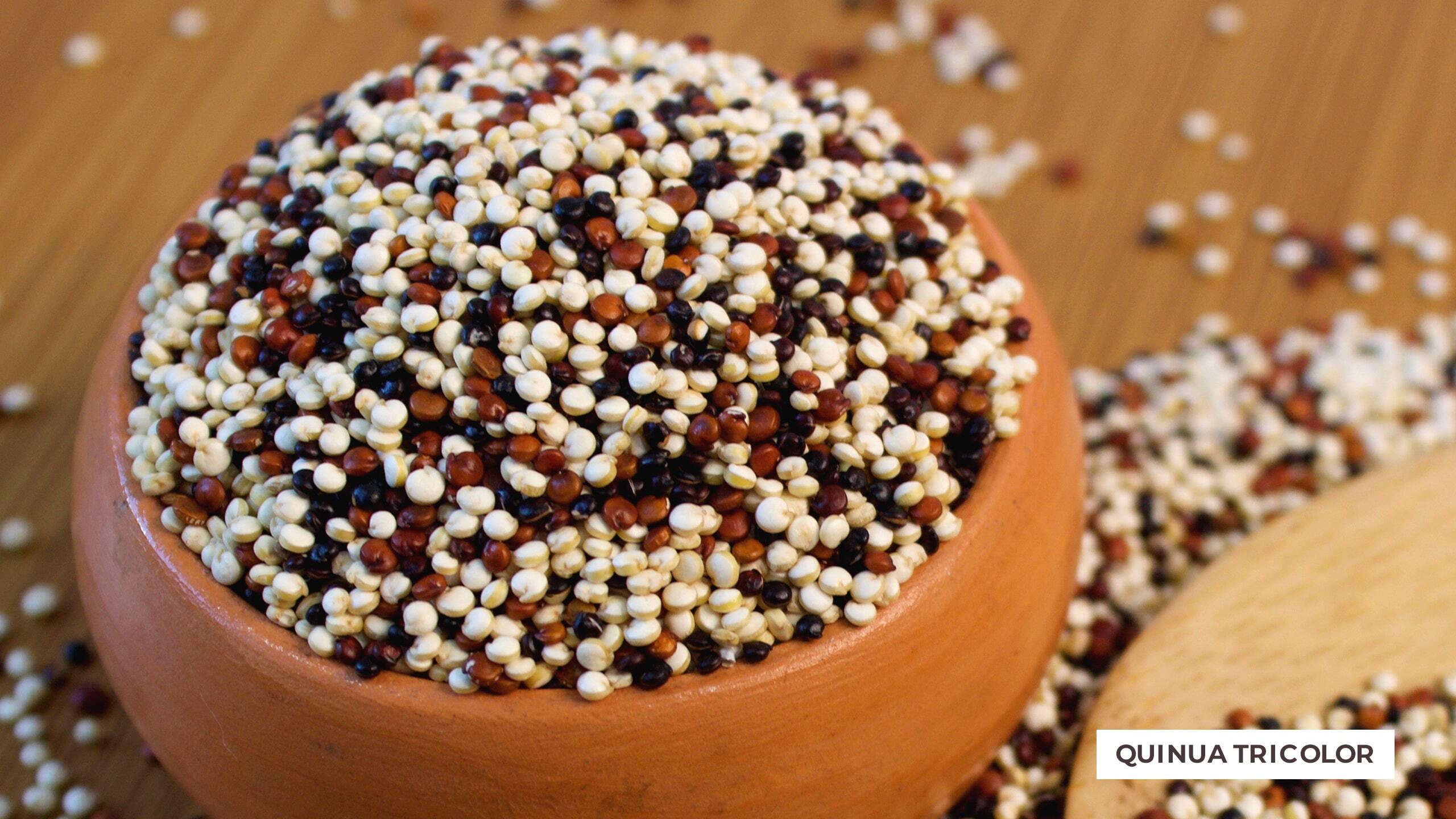 Peru Quinoa - quinua-tricolor-1-min.jpg