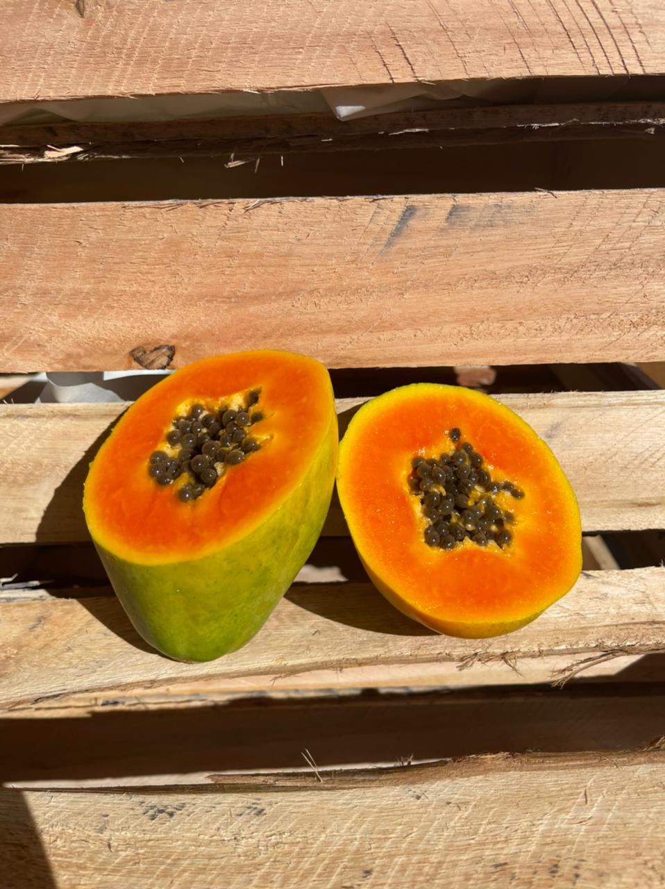 브라질 Fresh Papaya - WhatsApp_Image_2021-07-06_at_21.02.26_3.jpeg