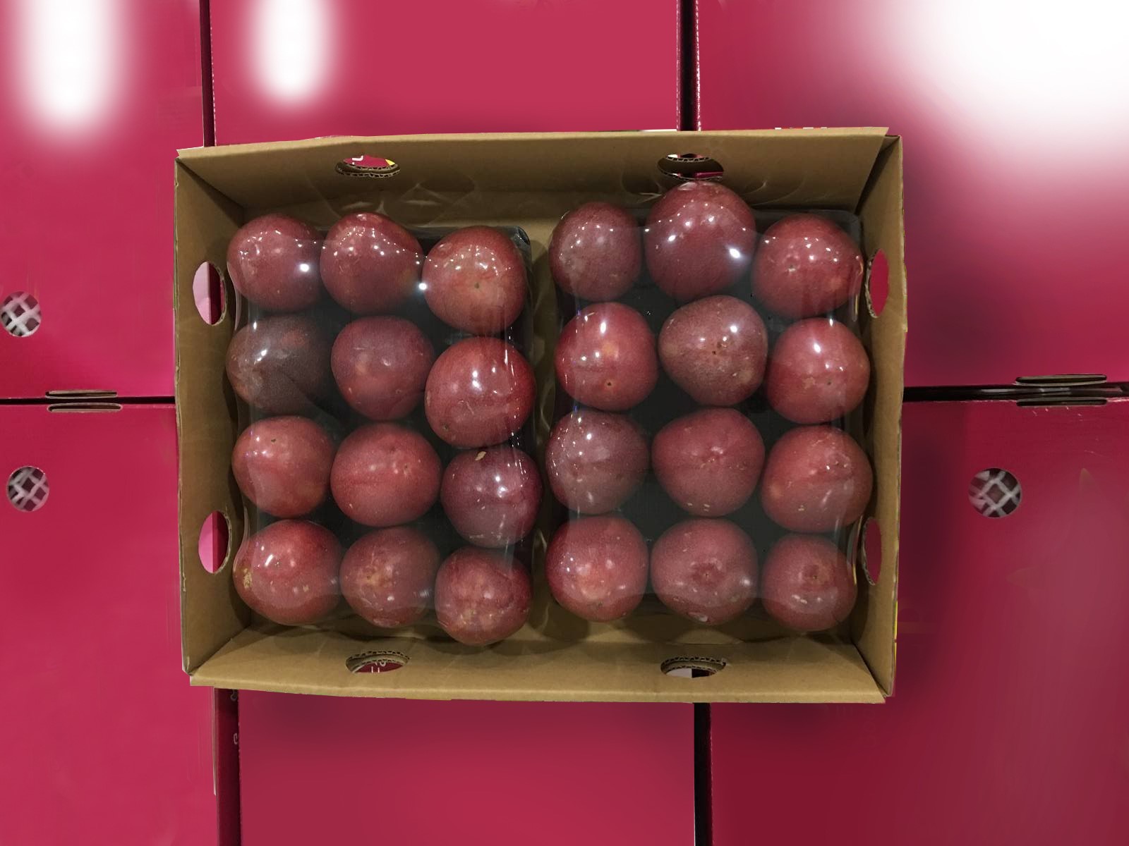 베트남 Frozen Passion Fruit - Passionfruit_Grade1_VN_3.jpg