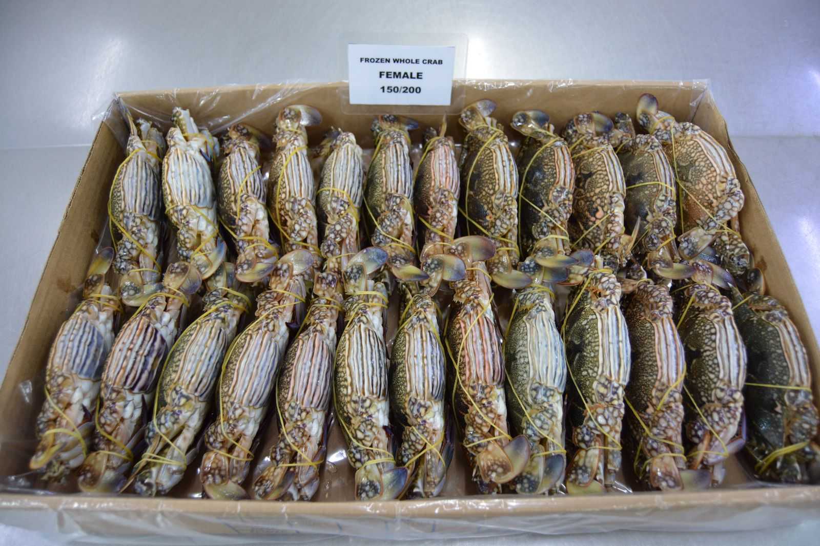 바레인 Frozen Crab - IMG-20230615-WA0007.jpg