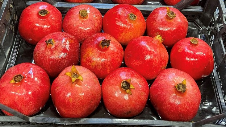 Turkiye Fresh Pomegranate - nar_7-9-121.jpg