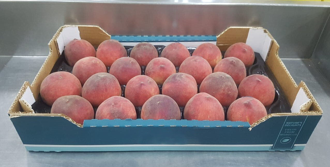 Morocco Fresh Peach - WhatsApp_Image_2021-06-10_at_7.03.18_PM_edit.jpg