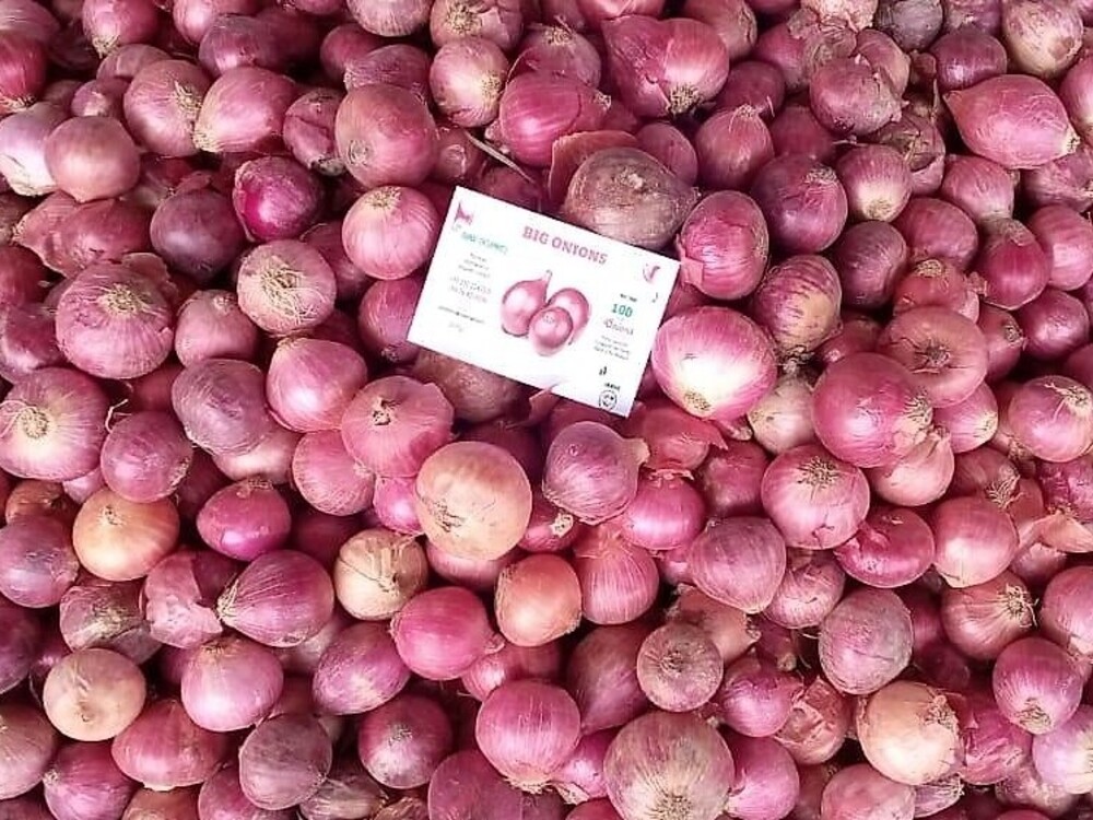 Pakistan Fresh Onion - WhatsApp_Image_2021-07-09_at_4.5_8.jpg