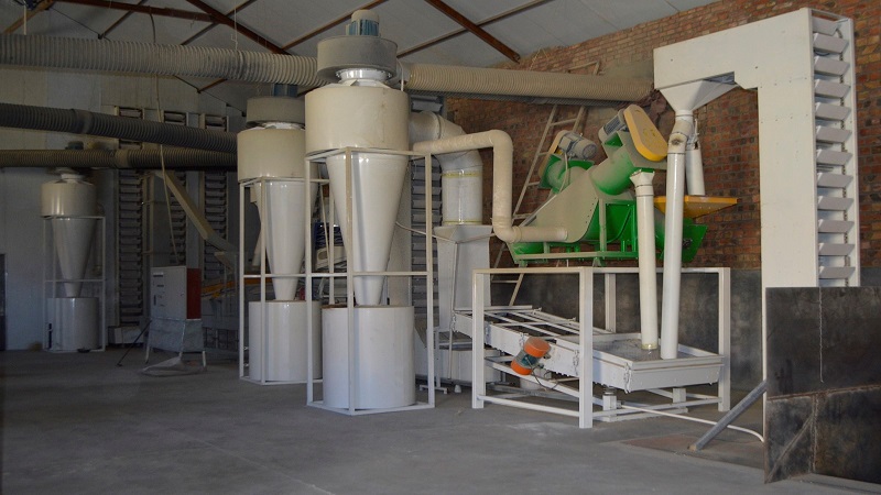 China Sunflower Seed - China_sunflower_seeds_6.jpg