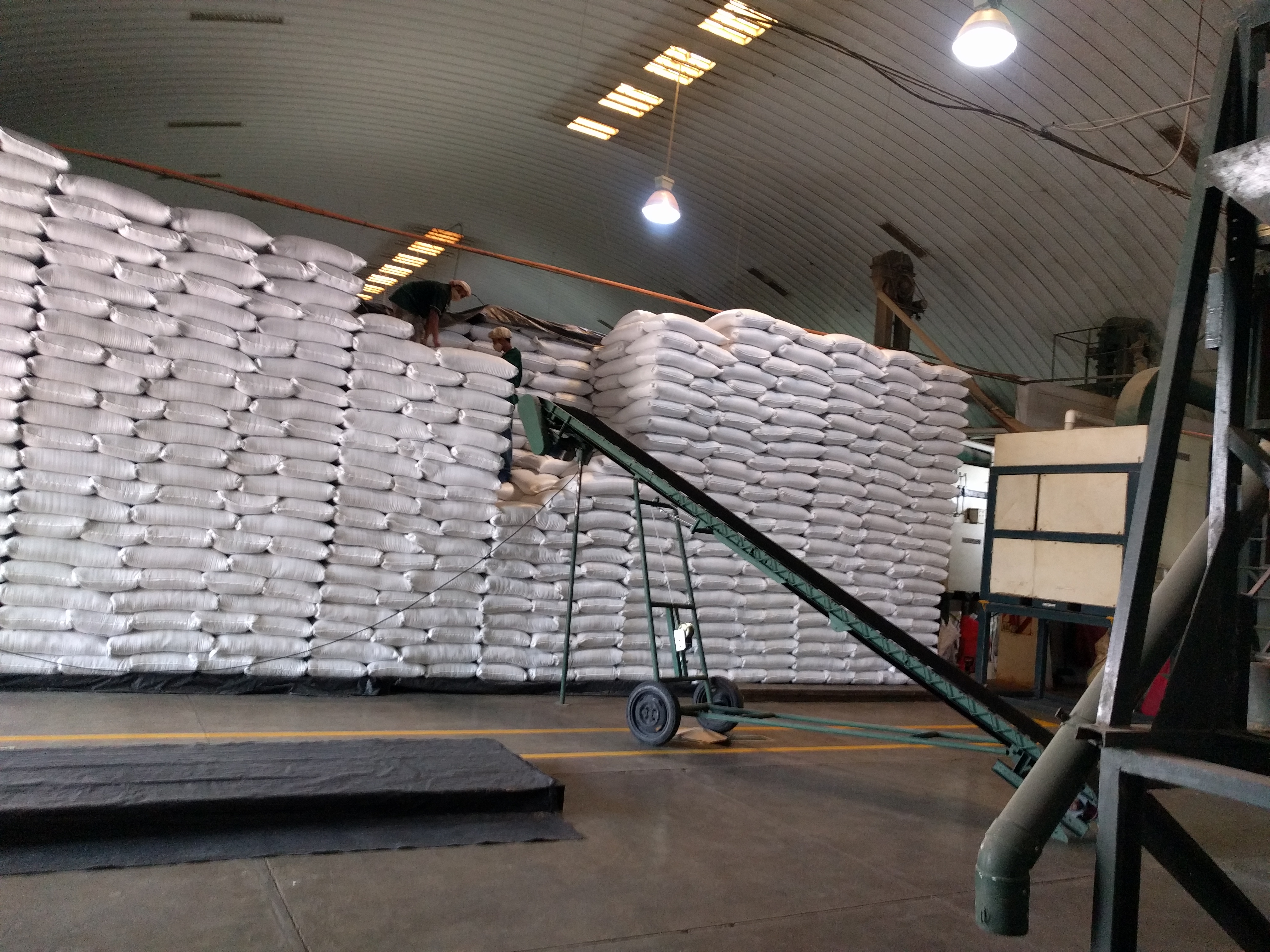 과테말라 Sesame Seed - Finished_Ready_for_Export_1.jpg