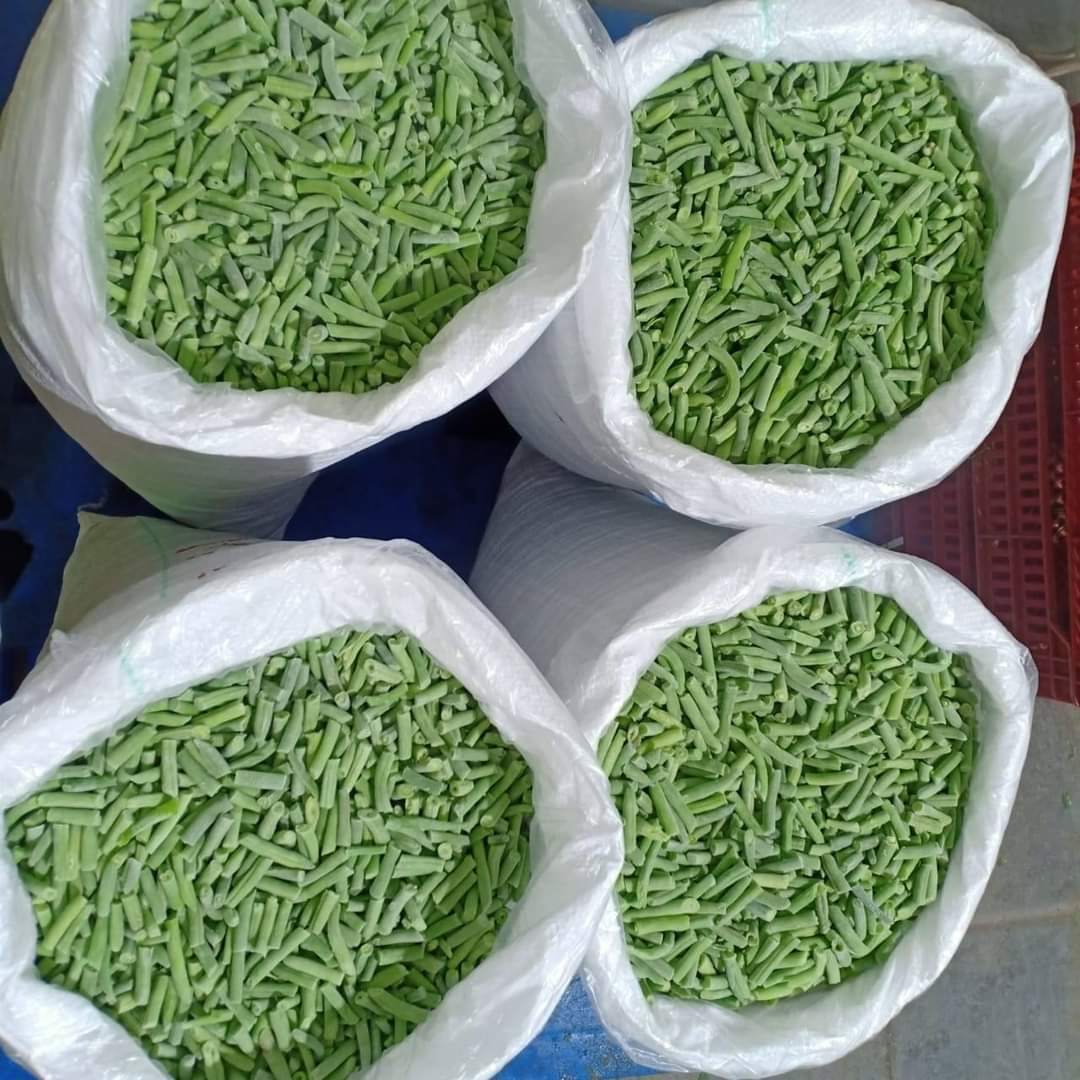 이집트 Frozen Green Bean - Egypt-IQF-Green-Bean-843849.JPG