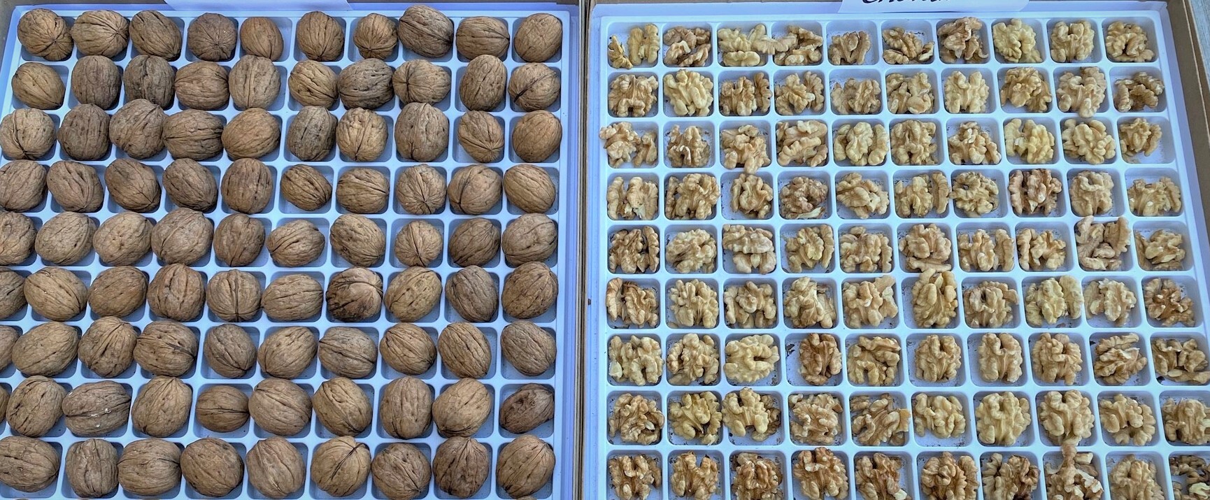 미국 Raw Walnut - United-States-Walnut-663804.jpg
