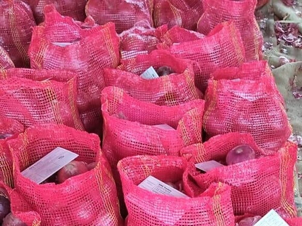Pakistan Fresh Onion - WhatsApp_Image_2021-07-09_at_4.5_6.jpg