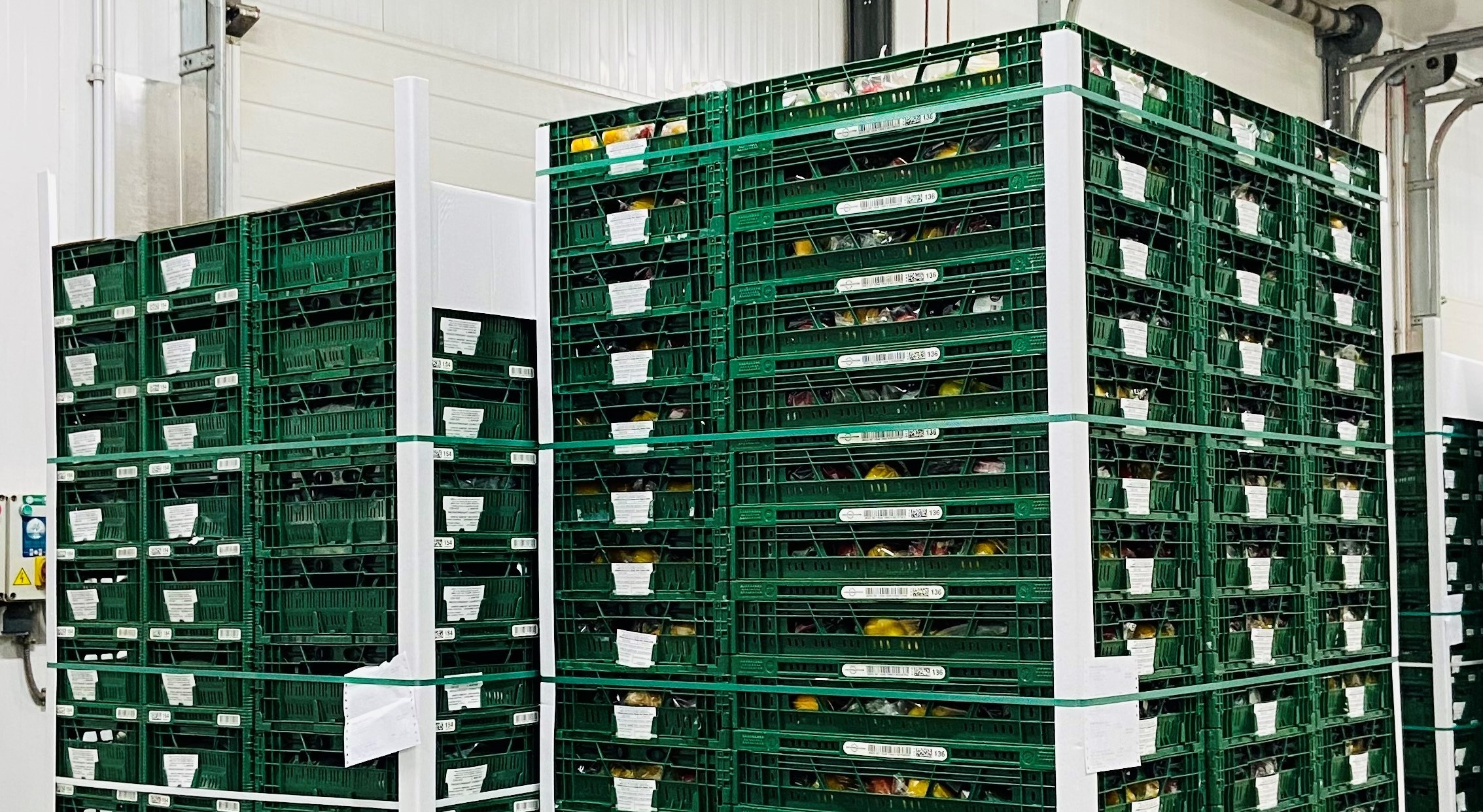 Spain Fresh Bell Pepper - IMG_9800_3.jpg