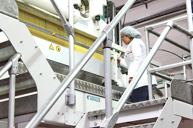 Turkiye Pasta - spaghetti_line.jpg