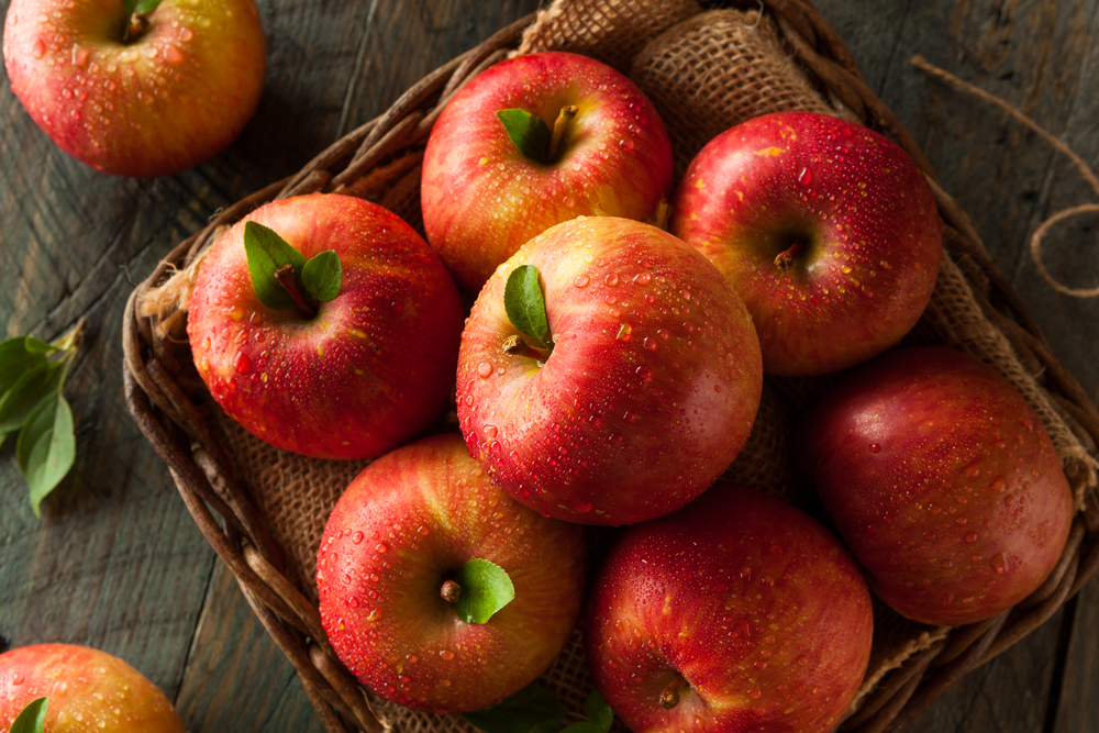 중국 Fresh Apple - shutterstock_310787684.jpg