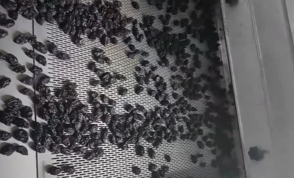 우즈베키스탄 Raisin (Dried Grape) - %EC%8A%A4%ED%81%AC%EB%A6%B0%EC%83%B7_2023-07-26_155608.png