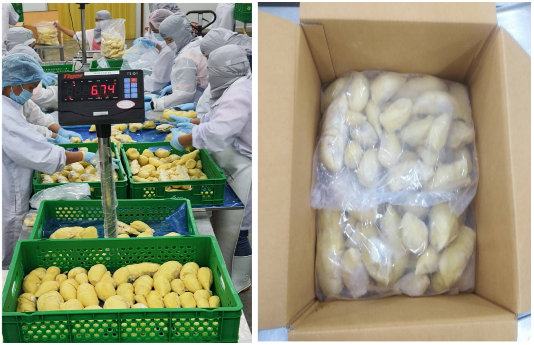 태국 Frozen Common Durian - packaging.png