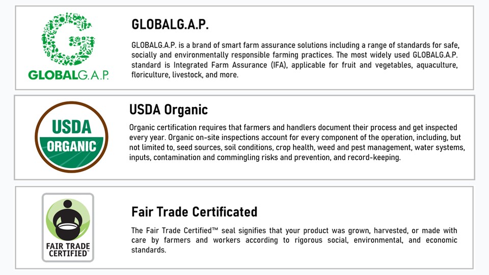 멕시코 Fresh Blueberry - %E3%84%B1%E3%84%B7%E3%85%88%E3%84%B1%E3%85%88%E3%84%B1%E3%85%88%E3%84%B7%E3%84%B1%E3%85%88%E3%84%B7%E3%84%B1%E3%85%88%E3%84%B4.jpg
